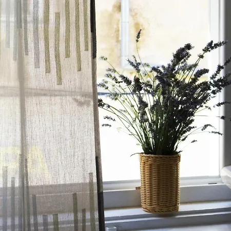 Ttapartmani 아파트 *